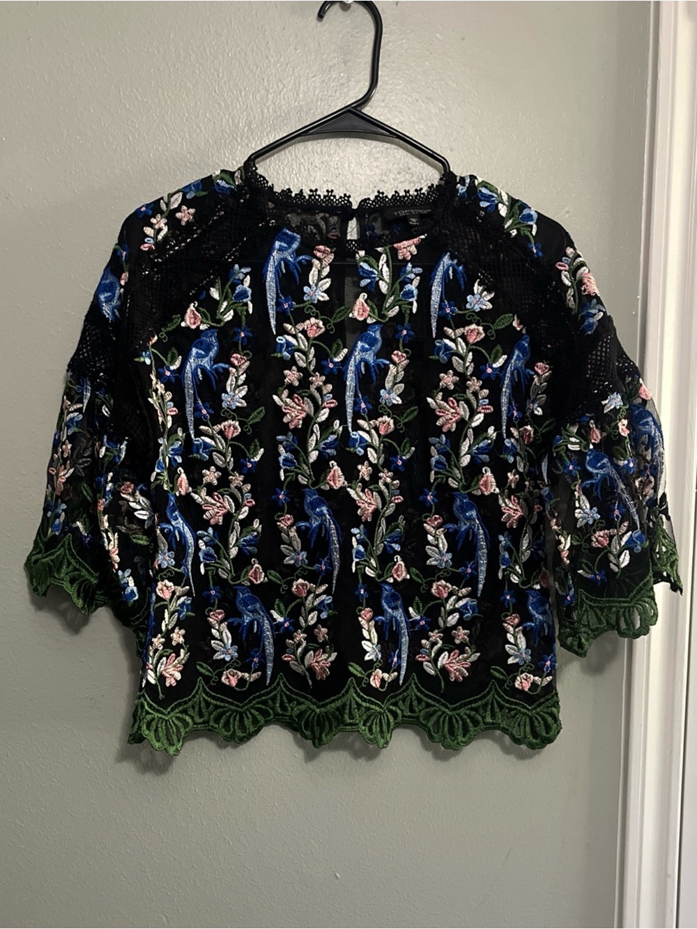 Topshop Black Embroidered Floral Velvet Blouse with Blue and Pink Accents
